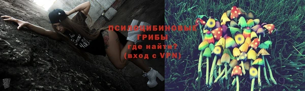 прущая мука Верхний Тагил