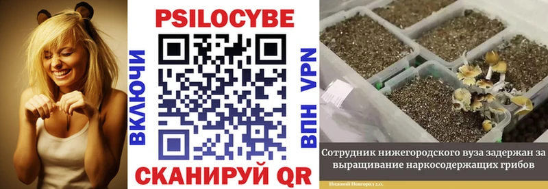 Галлюциногенные грибы Magic Shrooms  Копейск 